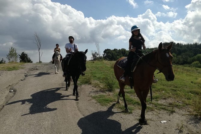 Horse Riding on Mount Vesuvius - Practical Tips That Make the Ride Smoother