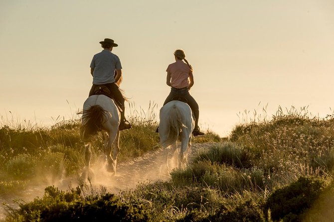 Horse Riding on the Beach - Key things I’d circle before you book