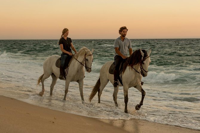 Horse Riding on the Beach - Horse Riding on the Beach in Melides: the vibe you’re really buying