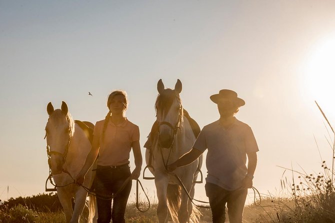 Horse Riding on the Beach - The pine and dune forest start: trust before you hit the sand