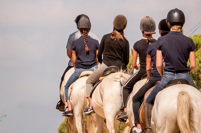 Horse Riding on the Beach - Walk-led riding with possible trot or gallop at the end