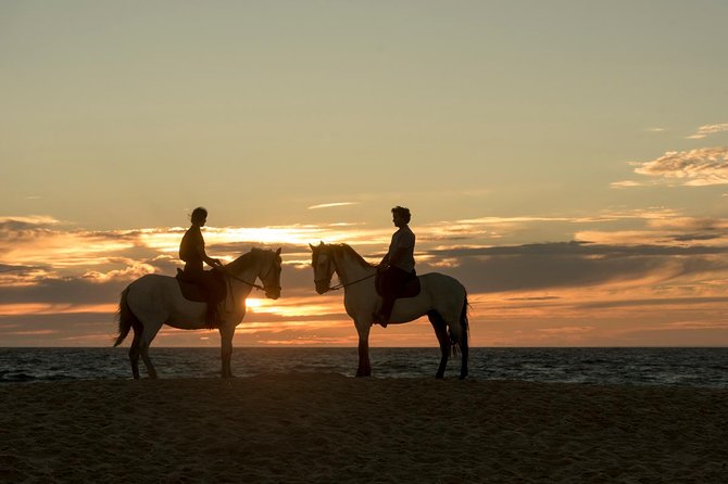 Horse Riding on the Beach - Meeting your guide and the culture of the experience