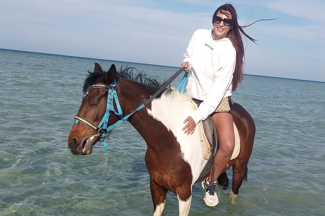 Horse Riding on the Beach And Desert 3 hours From Hurghada - The 4-hour plan: pickup, stables, dune ride, and Red Sea time