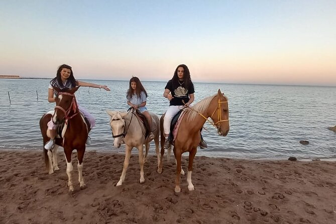 Horse Riding on the Beach And Desert 3 hours From Hurghada - Swimming with horses: the fun part, plus your practical checks