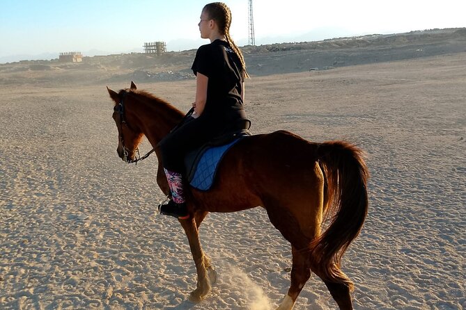 Horse Riding on the Beach And Desert 3 hours From Hurghada - Who should book this, and who should consider alternatives