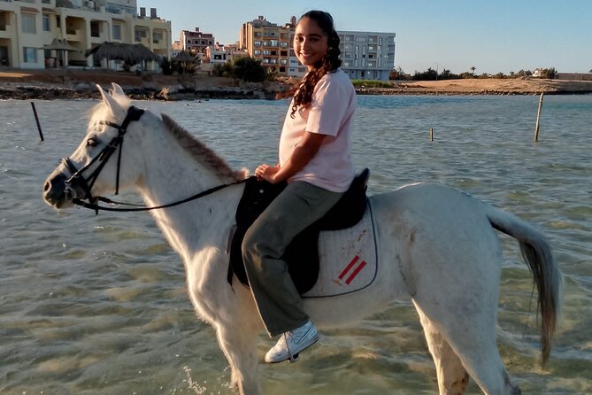 Horse Riding on the Beach And Desert 3 hours From Hurghada - Should you book this tour?