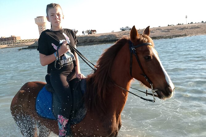 Horse Riding on the Beach And Desert 3 hours From Hurghada - FAQ