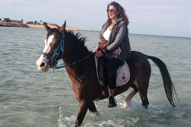 Horse Riding on the Beach And Desert 3 hours From Hurghada - Horses, guides, and first-timer support that actually helps