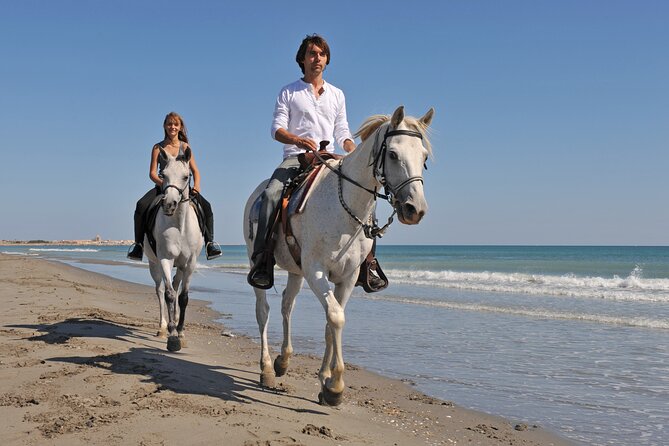 Horse Riding on the Beach in Side - Choosing the Beach Option: Riding Sand with Coastal Views