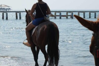 Horse Riding on the Beach in Side - From Side Hotel Pickup to the Ranch Base