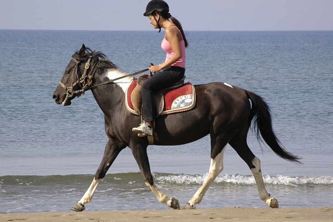 Horse Riding on the Beach in Side - Small Group Size: Why Max 8 Feels Like Better Service
