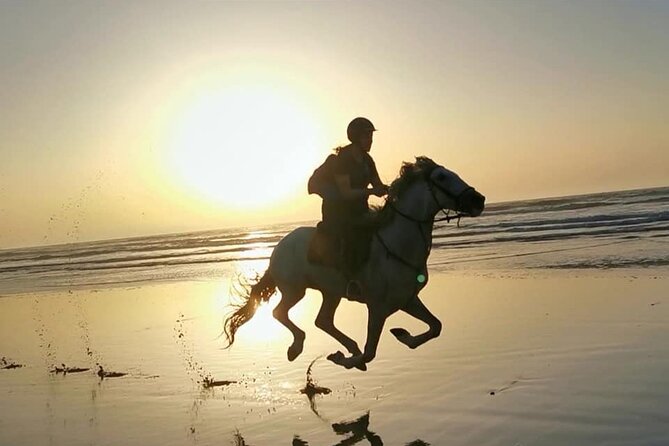 Horse riding on the beach of Essaouira 2 hours - Key highlights to know before you go