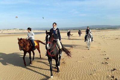 Horse riding on the beach of Essaouira 2 hours - From the Sultan’s Palace Area to Eucalyptus Forests