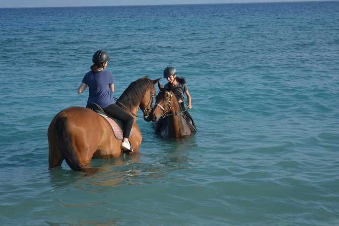 Horse riding on the Beach, Rhodes - Quick Hits Before You Go