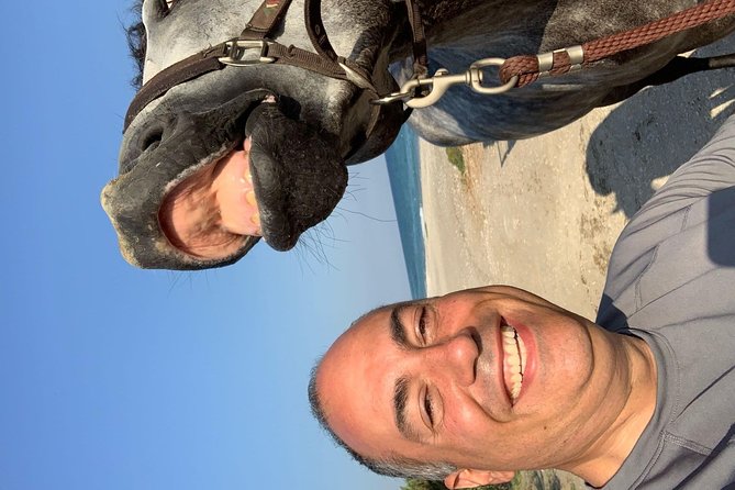 Horse riding on the Beach, Rhodes - What You Do for the Hour: Beach Route, Sea Moments, and Pace
