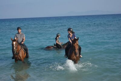 Horse riding on the Beach, Rhodes - Meeting at Sunset Beach Bar: Timing That Actually Matters