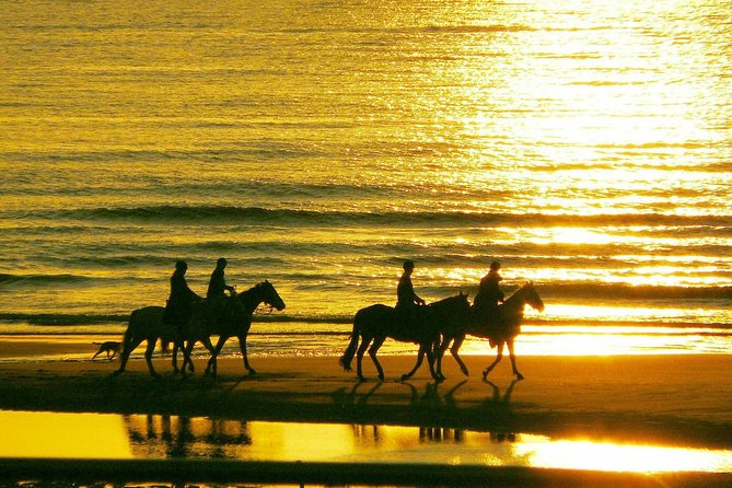 Horse riding on the Beach, Rhodes - The Horses and Safety: Why the Small Details Matter