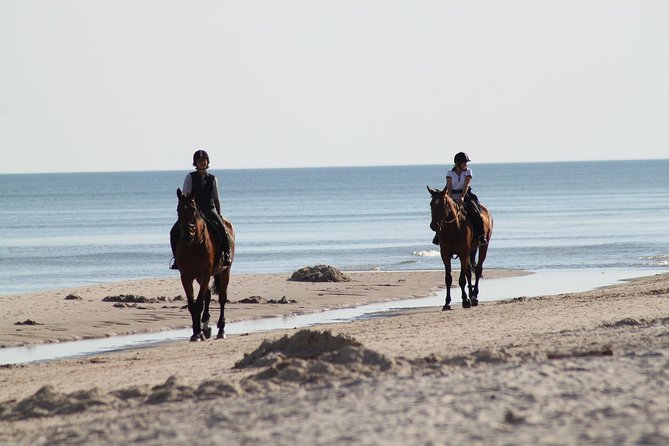 Horse riding on the Beach, Rhodes - Value for $133.12: What You’re Paying For (and When It Feels Too Much)