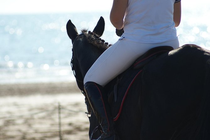 Horse riding on the Beach, Rhodes - Weather, Refund Reality, and a Quick Common-Sense Plan