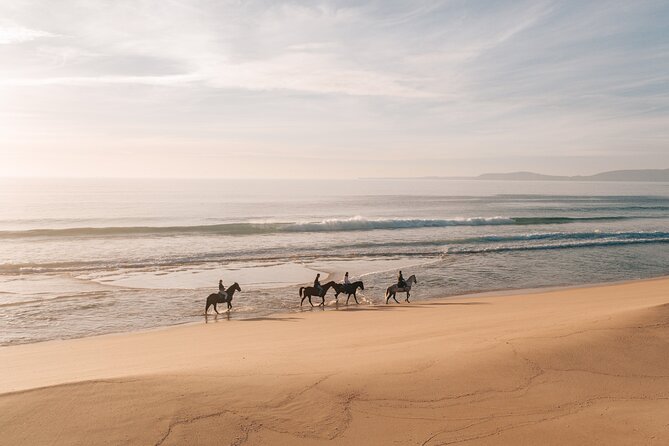 Horse Riding on the Beach with private transfer from Lisbon - Why Comporta Horseback Riding Feels Different From Lisbon