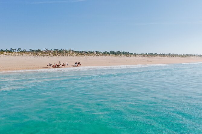 Horse Riding on the Beach with private transfer from Lisbon - What’s Included, What You’ll Pay For, and How to Pack