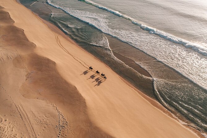 Horse Riding on the Beach with private transfer from Lisbon - Price and Value: Is $291.56 Worth It?