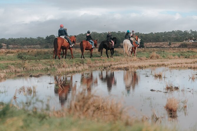 Horse Riding on the Beach with private transfer from Lisbon - Small-Group Reality: Pace, Horse Condition, and Fair Expectations