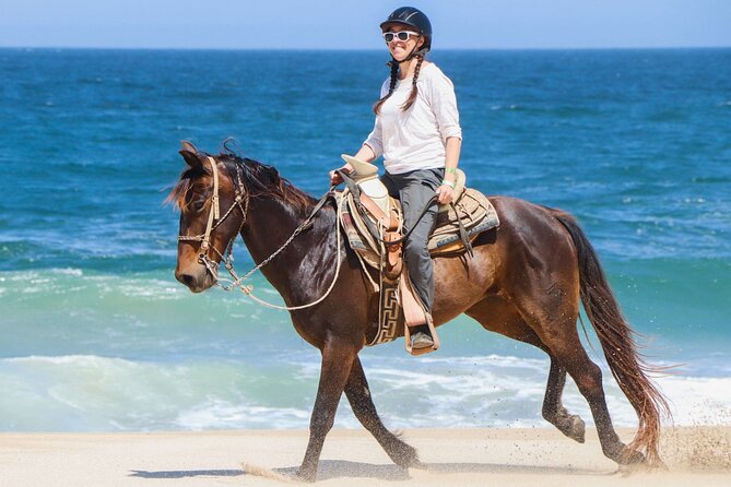 Horse Riding on the beach With Transfer From Sharm El Sheikh - Key highlights to know before you go