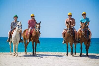 Horse Riding on the beach With Transfer From Sharm El Sheikh - The briefing and safety setup: what you should expect from the team