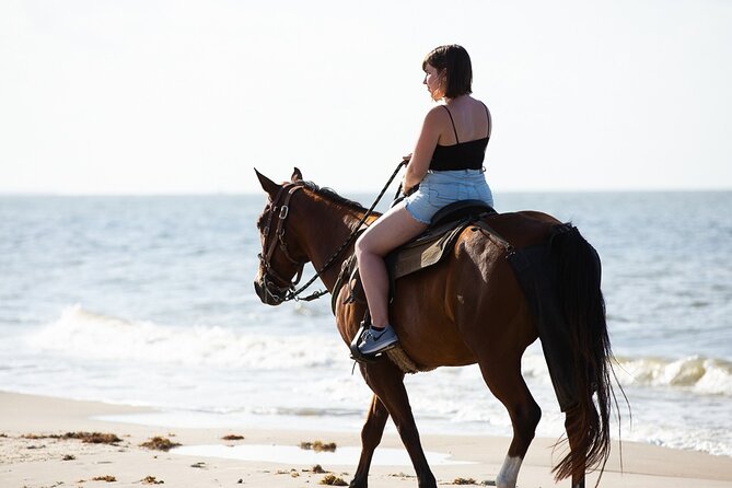 Horse Riding on the beach With Transfer From Sharm El Sheikh - What you pay and why it still makes sense