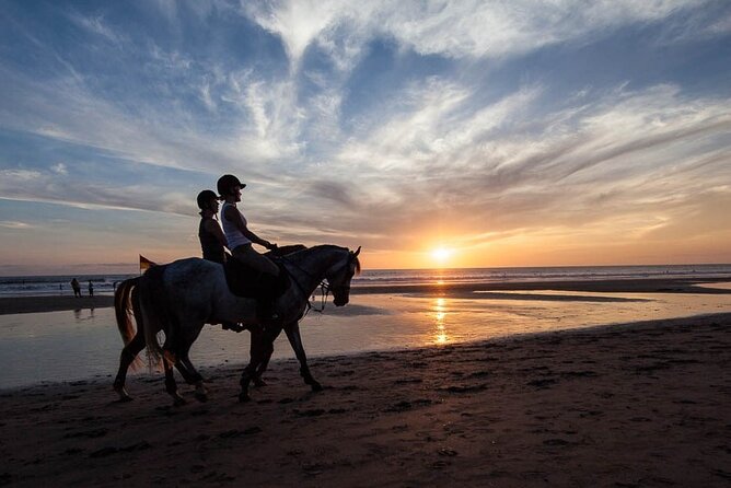 Horse Riding on the Black Sand Beach and Free Hotel Transfers - Key highlights you’ll feel on this ride