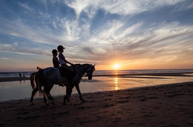 Horse Riding on the Black Sand Beach and Free Hotel Transfers - On the saddle at Saba Gulf: what the ride actually feels like