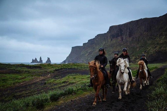 Horse Riding on the Black Sand Beach and Free Hotel Transfers - Who should book this horseback ride (and who might skip it)