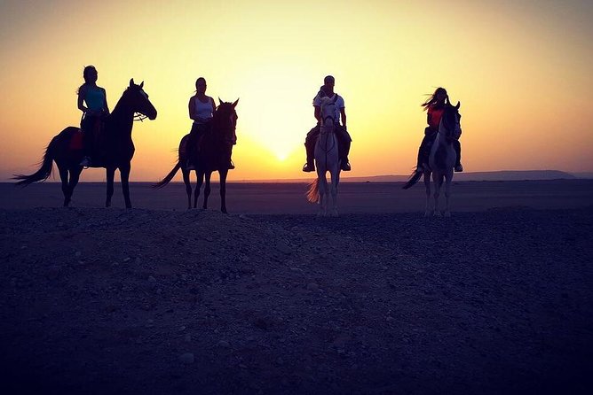 Horse Riding One Hour at Desert With Transfer - Sharm El Sheikh - Guides You’ll Remember: Ahmed, Syed, Salah, and Ibrahim