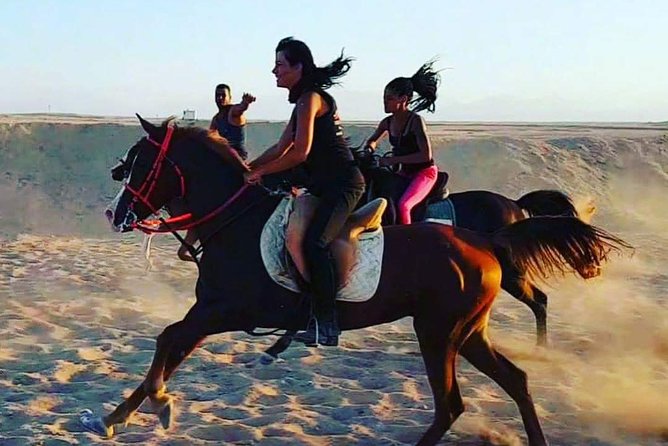 Horse Riding One Hour at Desert With Transfer - Sharm El Sheikh - Price and Value: What $12 Really Covers in Sharm