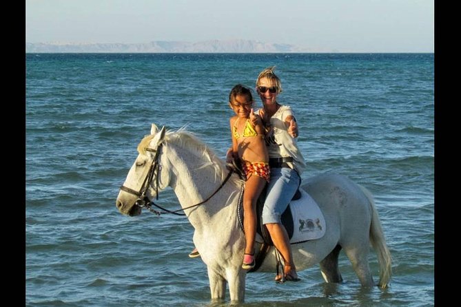Horse Riding One Hour at Desert With Transfer - Sharm El Sheikh - Horse Welfare: What You Should Check Before You Ride