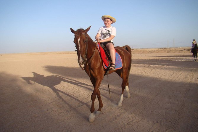 Horse Riding One Hour at Desert With Transfer - Sharm El Sheikh - From Your Hotel to the Stables: Easy Pickup, Real Timing