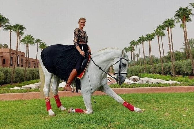 Horse Riding one hour Palmeraie Grove & Transfer - Marrakesh - Key Things to Know Before You Go
