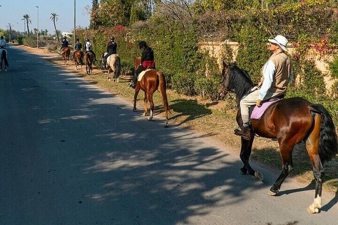 Horse Riding one hour Palmeraie Grove & Transfer - Marrakesh - Palmeraie Horse Riding: Why This Short Ride Works
