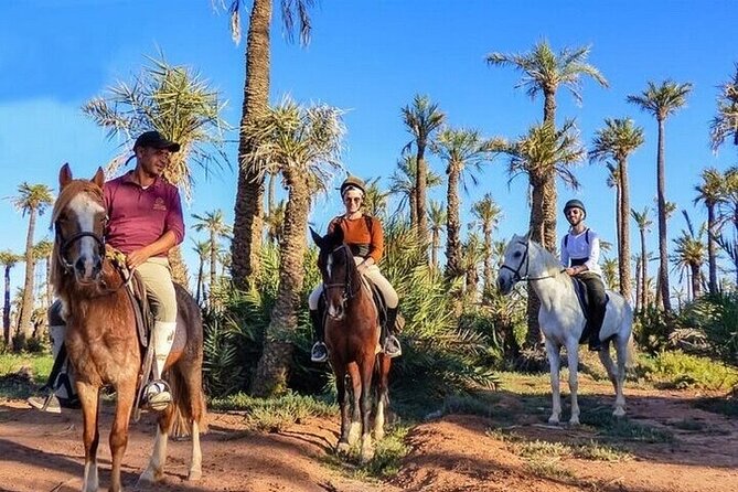 Horse Riding one hour Palmeraie Grove & Transfer - Marrakesh - The One-Hour Ride Through Palmeraie Grove: What You’ll Actually Do