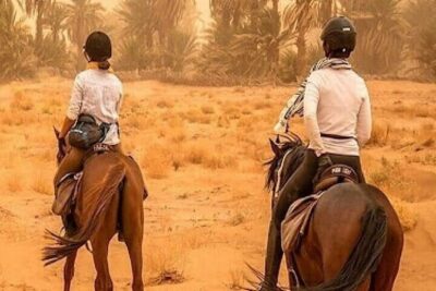 Horse Riding one hour Palmeraie Grove & Transfer - Marrakesh - Mint Tea and Mountain Views: How the Experience Starts Off Right