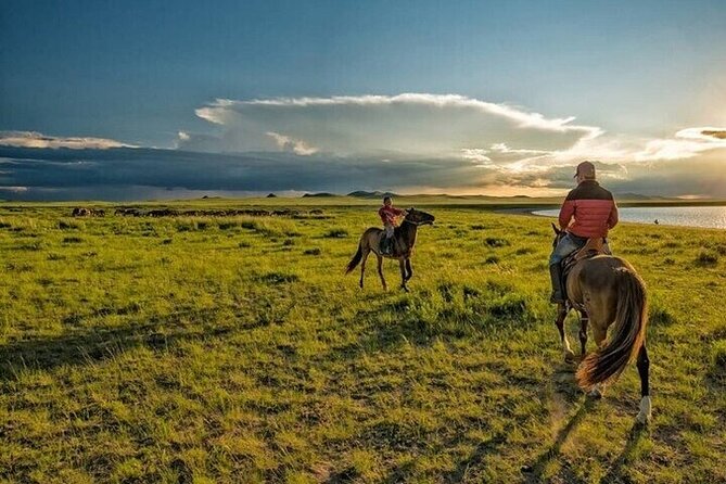 Horse Riding one hour Palmeraie Grove & Transfer - Marrakesh - Berber Villages in Passing: Seeing Culture Without Overpromising