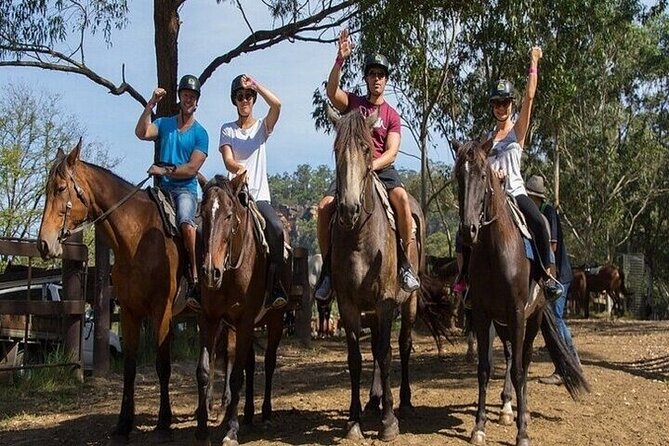 Horse Riding one hour Palmeraie Grove & Transfer - Marrakesh - Horse Quality and Safety: Helmets, Instructor Support, and Rider Matching