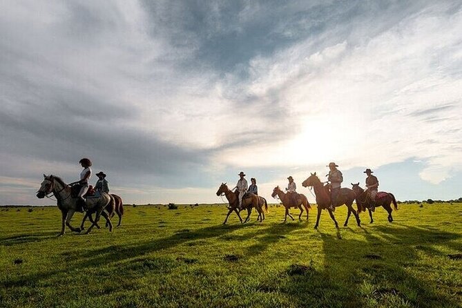 Horse Riding one hour Palmeraie Grove & Transfer - Marrakesh - Transfers, Time on the Clock, and Group Size (The Real Logistics)