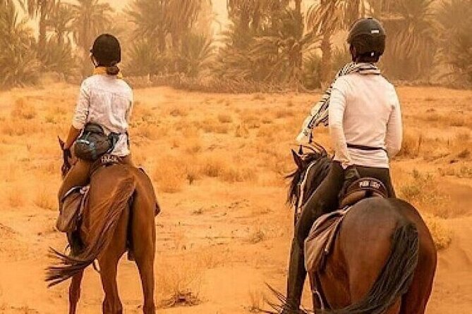 Horse Riding one hour Palmeraie Grove & Transfer - Marrakesh - Mint Tea and Mountain Views: How the Experience Starts Off Right