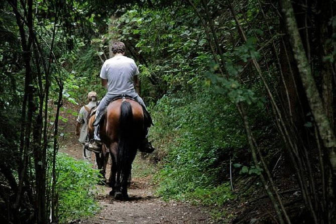 Horse Riding Small Group near Lucca - FAQ