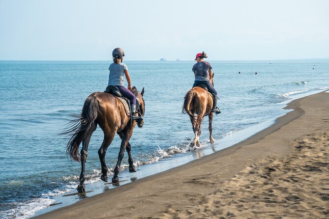Horse Riding & Swimming Experience in the Sea & Desert - Hurghada - Key Highlights You’ll Actually Care About