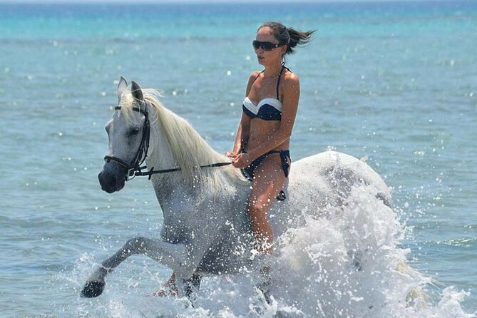 Horse Riding & Swimming Experience in the Sea & Desert - Hurghada - Horse, Sea, and Desert in About Four Hours