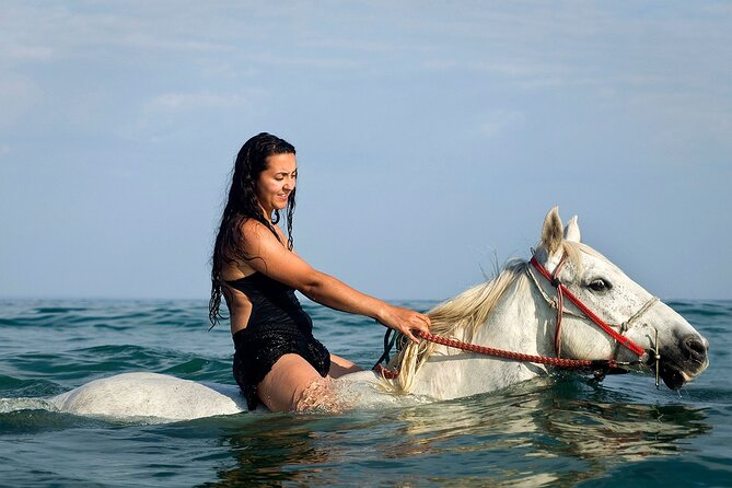 Horse Riding & Swimming Experience in the Sea & Desert - Hurghada - Price and Logistics: The Real Cost After Taxes and Transfers