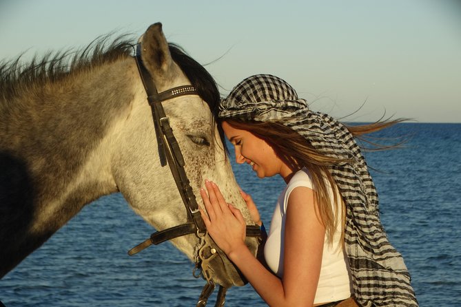 Horse Riding Tour 2 Hours on Sea And Desert & Transfer -Hurghada - The horses and the safety side: what’s included vs what to watch